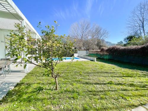 a small tree in the grass next to a house at Villetta La Rocca in Pietrasanta
