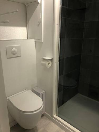 a small bathroom with a toilet and a shower at Studio 25m2 hyeres plages in Hyères