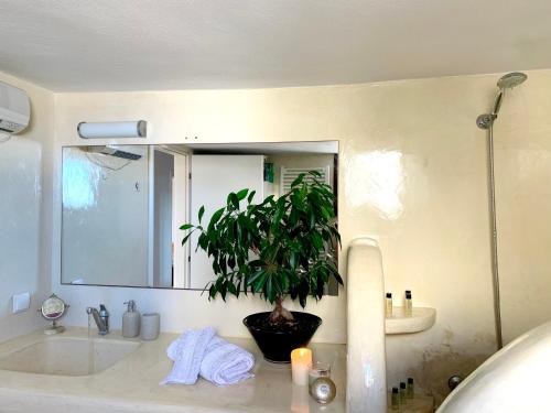 La salle de bains est pourvue d'un grand miroir et d'une plante sur un lavabo. dans l'établissement Anna’s Villa, à Monolithos