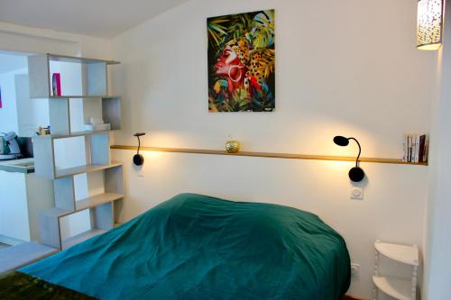 - une chambre avec un lit vert et une étagère dans l'établissement Appartement privé à la campagne, à Figanières
