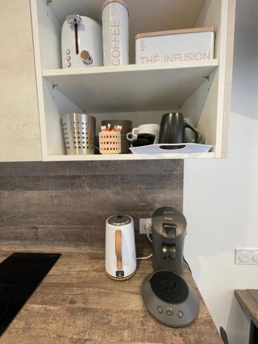 a kitchen counter with appliances on a shelf at Jardin privé 1 in La Ravoire