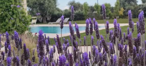 a bunch of purple flowers in front of a pool at Masseria Verbena Agriturismo in Monopoli