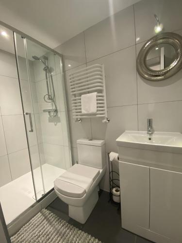 a bathroom with a toilet and a shower and a sink at The Cherry Tree Hotel in Chinnor