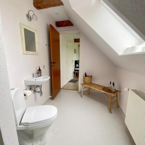 a bathroom with a toilet and a sink at Rønhave in Sønderborg