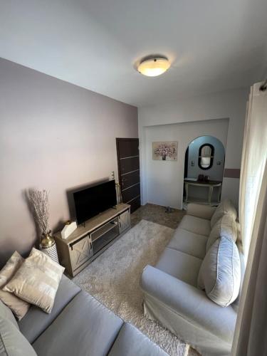 sala de estar con sofá y TV de pantalla plana en APARTMENT DOWNTOWN, en Karpathos
