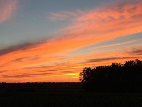 a sunset over a field with a tree in the foreground at Fox Lane - Prince Edward County Farmhouse in Picton