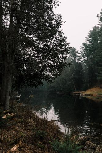 a body of water with a tree next to it at nortehaus - Nordic and Japanese inspired escape in Norland