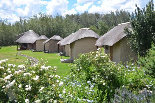 a row of huts with thatched roofs in a field at ThakhuBrunfelsia in Secunda