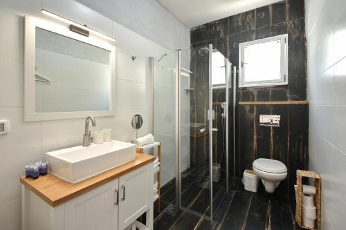 a bathroom with a sink and a shower and a toilet at הקצה- The Edge in Sifsufa