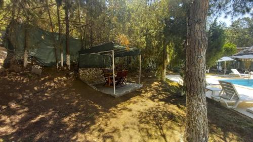 Κήπος έξω από το Hotel Tropicana