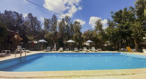 Πισίνα στο ή κοντά στο Hotel Tropicana