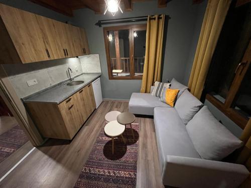 a small living room with a couch and a sink at Villamill Apart & House in Ardeşen