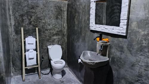 a bathroom with a toilet and a sink and a mirror at Kintamani Adventure 'Hide Away In Kintamani in Kintamani