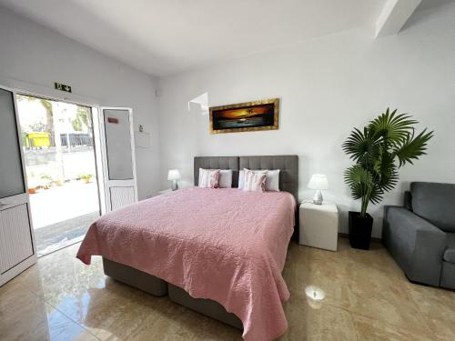 um quarto com uma cama, um sofá e uma planta em Studio Home Away from Home em Caniçal