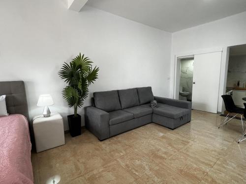 a living room with a couch and a plant at Studio Home Away from Home in Caniçal