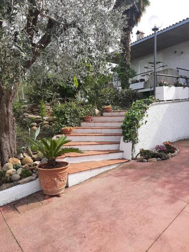 a staircase leading to a house with potted plants at VILLA IN COLLINA VISTA MARE in Roseto degli Abruzzi