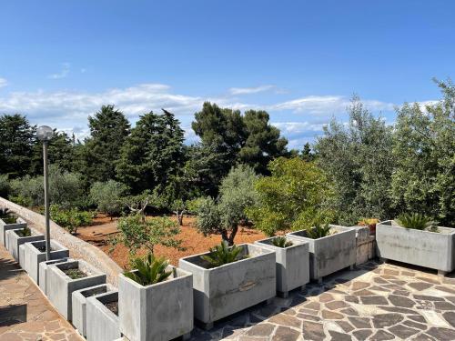 a row of concrete planters in a garden at Happy's Casa in Putignano