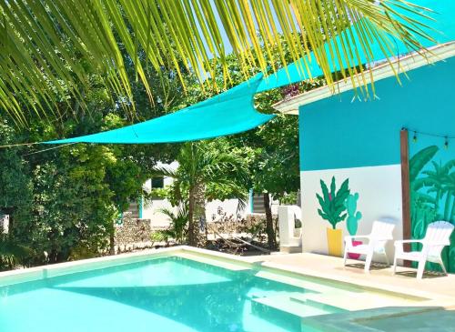 a blue swimming pool with chairs and a palm tree at CAMP AKUMAL - Hosted Family Bungalows in Akumal