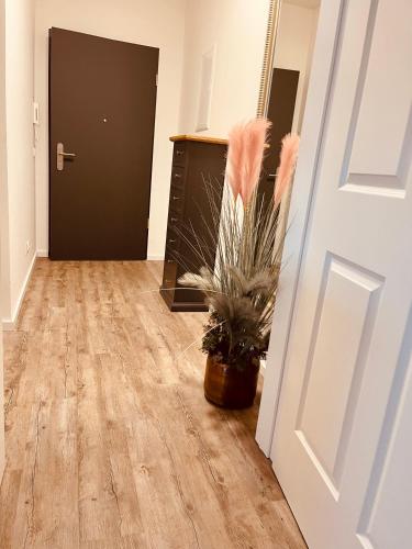 Φωτογραφία από το άλμπουμ του Studio-Apartment Hohe Börde σε Irxleben