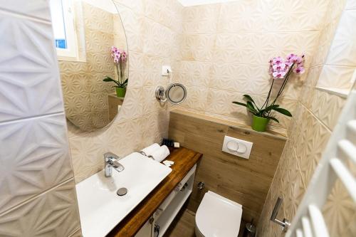 ein Badezimmer mit einem Waschbecken, einem WC und einem Spiegel in der Unterkunft Luxury Suite / Josip Vancaš in Sarajevo