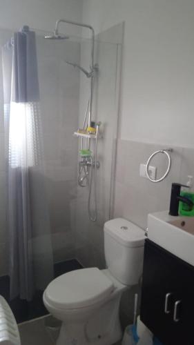 uma casa de banho com um chuveiro, um WC e um lavatório. em Tío Moncho - Casa Tía María em Vilanova de Arousa