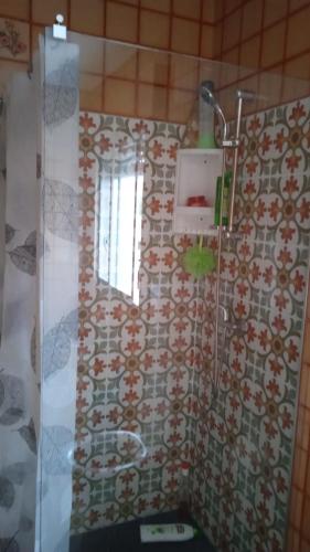 a bathroom with a shower with a tiled wall at Tío Moncho - Casa Tía María in Villanueva de Arosa