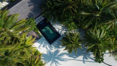 an overhead view of a swimming pool with palm trees at One&Only Reethi Rah in Reethi Rah