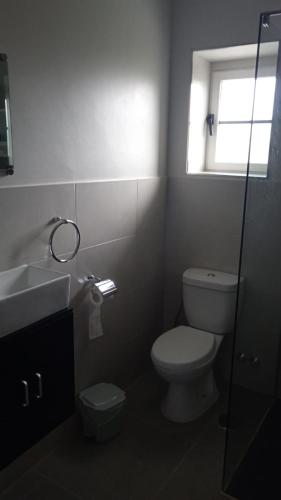 a bathroom with a toilet and a sink and a window at Migueliño - Casa Tía María in Villanueva de Arosa