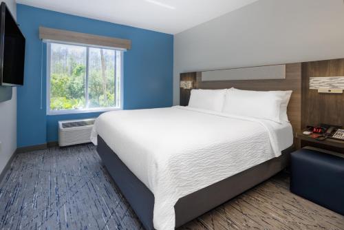 Holiday Inn Express and Suites Tampa I-75 at Bruce B. Downs, an IHG Hotel Image