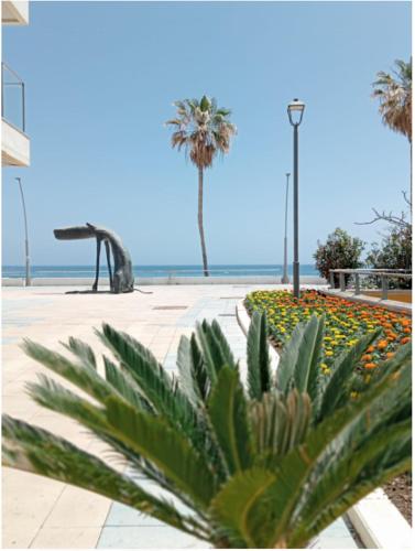 a plant in a park with palm trees and the ocean at Beach side Apartment -Estepona in Estepona