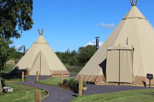 two large tents in a field with a blue sky at GreenWood Family Park in Y Felinheli