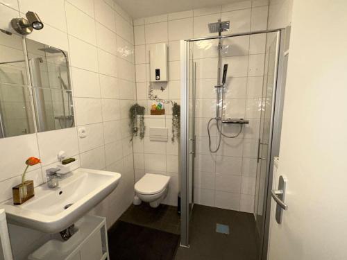 W łazience znajduje się prysznic, toaleta i umywalka. w obiekcie Möblierte EG- Wohnung zentral in Herne mit Parkplatz,WLAN und Netflix w mieście Herne