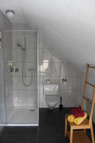 A CÔTE في Môtiers: حمام مع دش ومرحاض