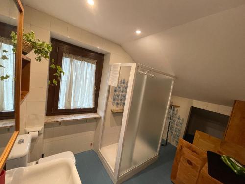 a bathroom with a shower and a sink at La casa di Ottavio in Giaveno