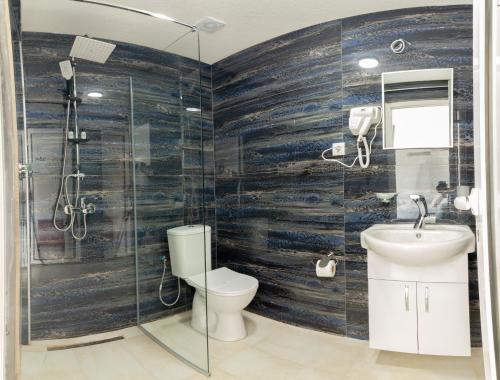 y baño con aseo, lavabo y ducha. en Velestovo House, en Ohrid