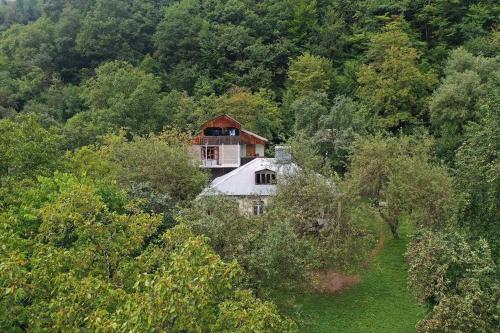 una casa en medio de un bosque de árboles en Guesthouse in Utsera, en Utsera