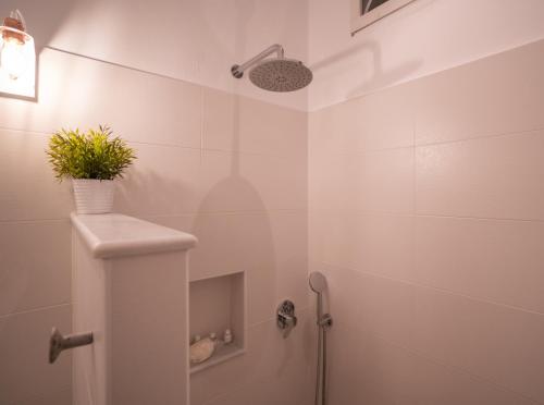 a bathroom with a shower with a plant on the wall at Ammos Sifnos Village in Platis Yialos Sifnos