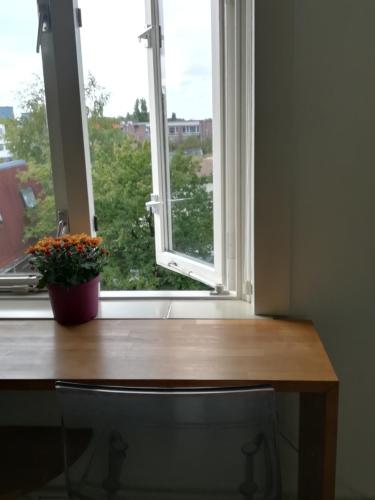 a desk with a window with a potted plant on it at B&B De Goffert in Nijmegen