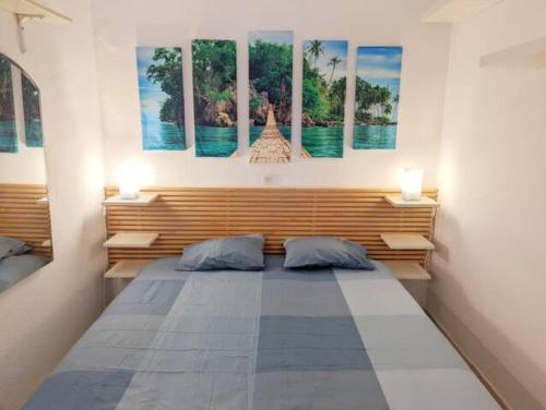 Paraiso by CASAS COCODRILO