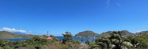 a view of a body of water with trees and mountains at JARDIN SUR MER in Terre-de-Haut