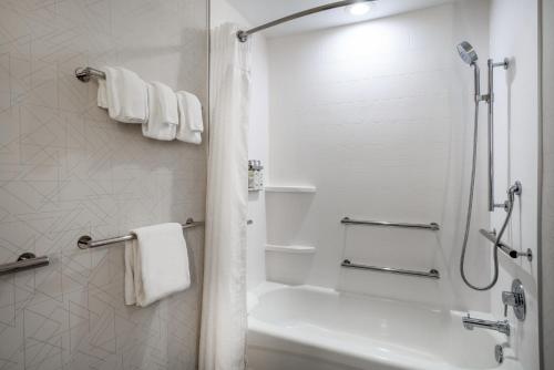 a white bathroom with a shower and a bath tub at Holiday Inn Express and Suites Tampa I-75 at Bruce B. Downs by IHG in Tampa