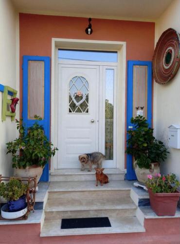 a cat sitting on the doorstep of a front door at Stanza privata casa artistica Mariola in San Sperate