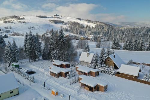 a village covered in snow with a mountain in the background at Woodbox Istebna in Istebna