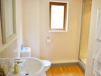 a bathroom with a sink and a toilet and a window at Field View in Cynghordy