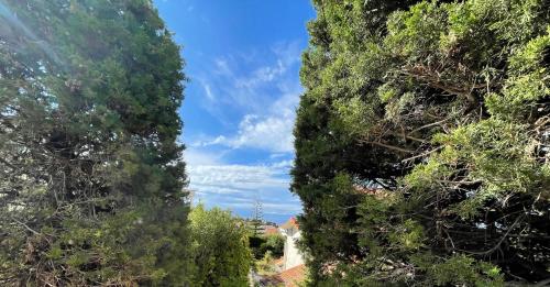 Φυσικό τοπίο κοντά σε αυτή η παραθεριστική κατοικία