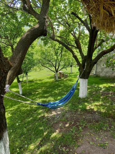 Guest House Ijevan's Gardenにある庭