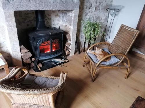 a cat sitting in a chair in front of a fireplace at Le Temps Serein in Vabre-Tizac