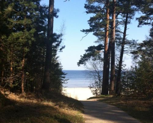 a road leading to a beach with trees and the ocean at Sea and Sun in Jūrmala