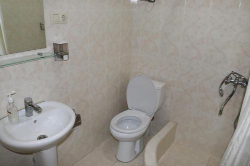 a bathroom with a toilet and a sink at Tvishi Guest House in Tsʼageri
