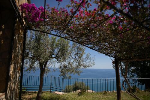 Φυσικό τοπίο κοντά σε αυτό το διαμέρισμα